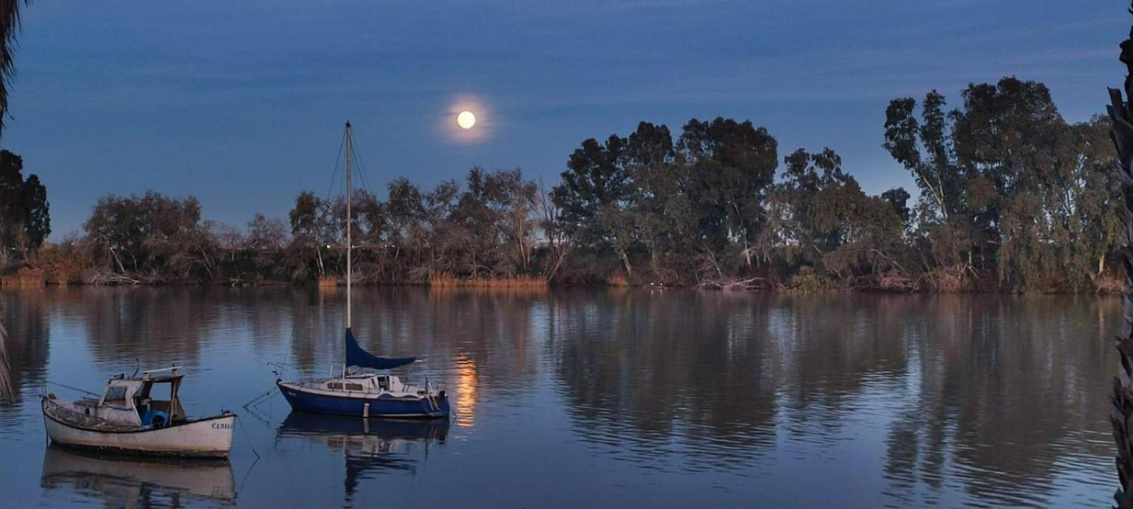 Habitacion Doble Con Aseo Compartido Coria del Río Værelse billede